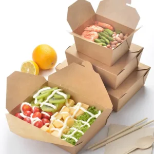 Disposable Paper Bento Box Manufacturers