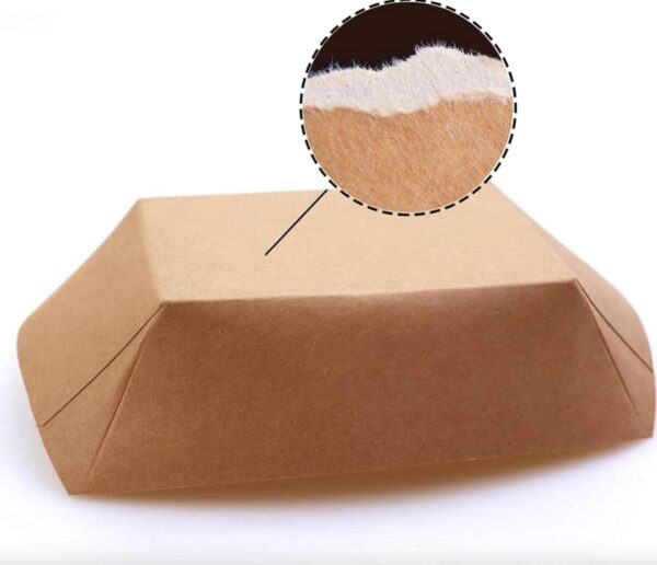 Kraft Paper Boats Tray Manufacturers in Gurugram