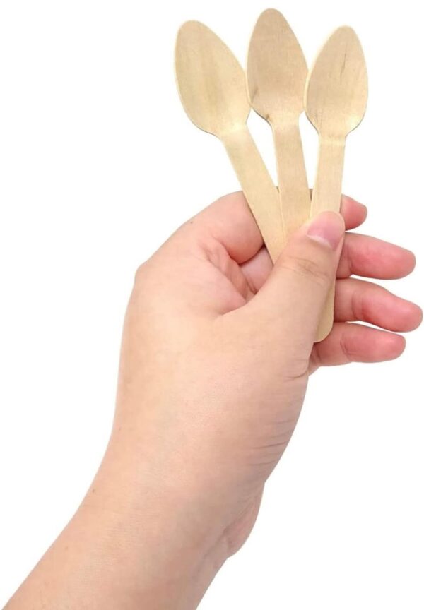 Disposable Wooden Spoon Manufacturer in India