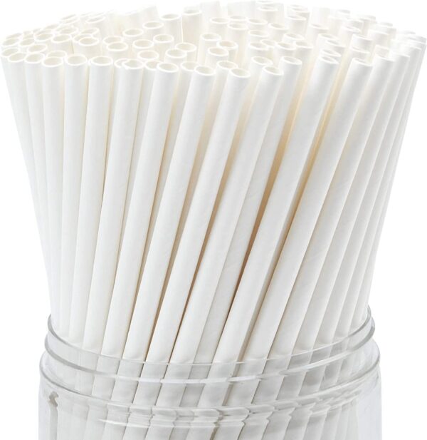 White Paper Straws Manufacturers in india