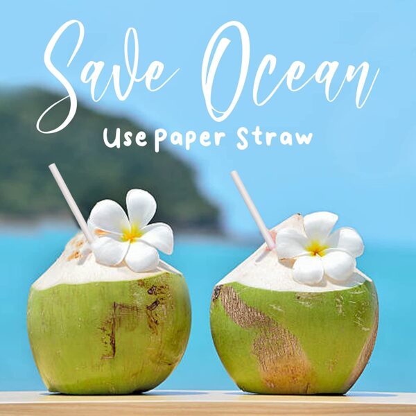 White Paper Straws Manufacturers in Delhi